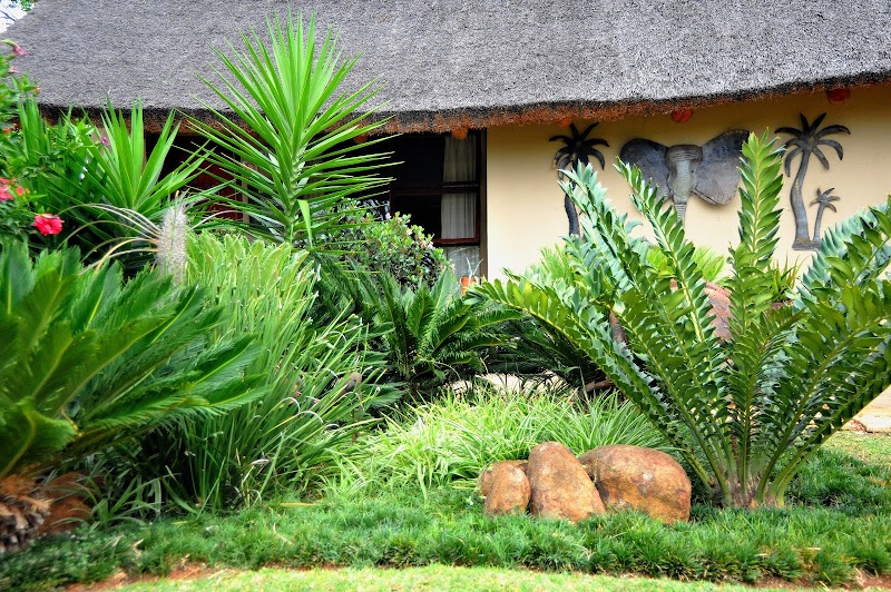 Palmwag Tzaneen Guesthouse in Tzaneen, South Africa