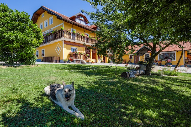 Panorama Rooms in Ptuj, Slovenia