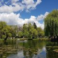 Park Hotel Razlog