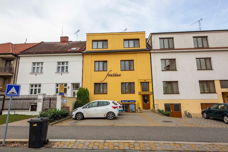 Pension Fontana in Podebrady, Czechia