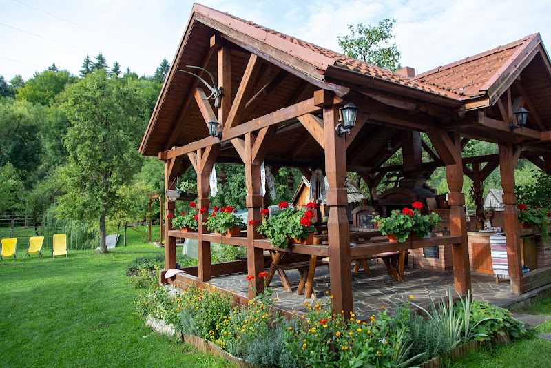 Pensiunea Casa Bunicii in Moisei, Romania