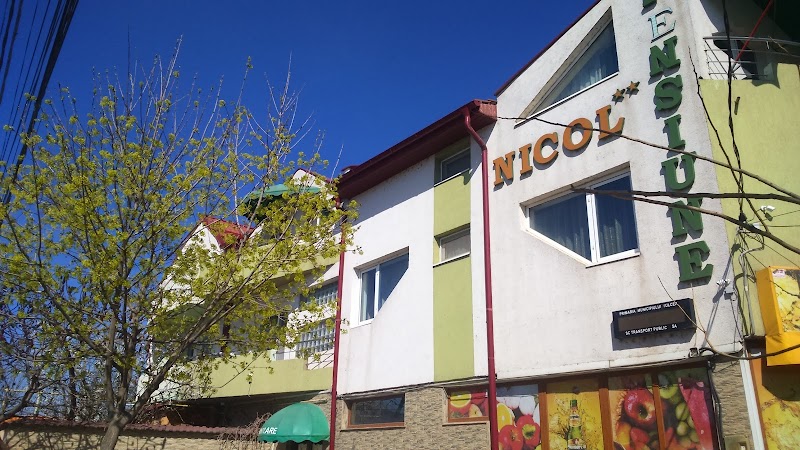 Pensiunea Nicol in Tulcea, Romania