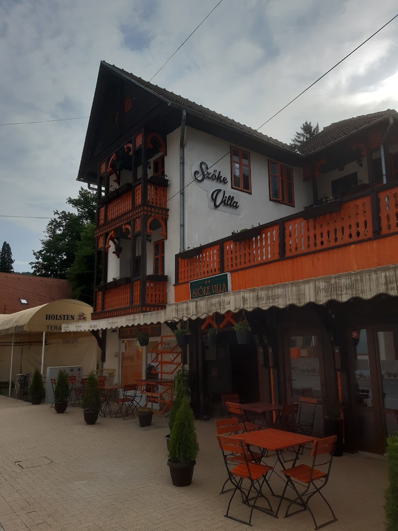 Pensiunea Szoke Villa in Sovata, Romania