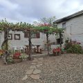 Pepper Tree Cottage