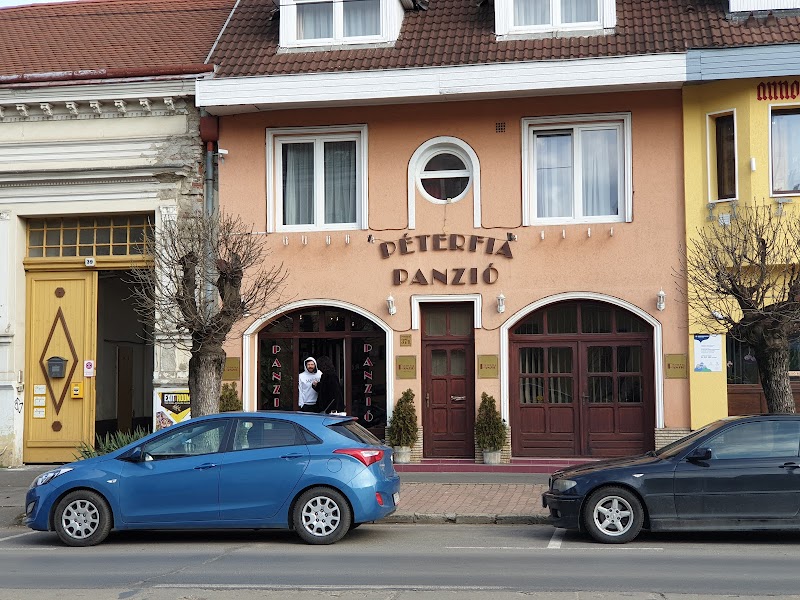 Peterfia Panzió in Debrecen, Hungary