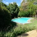 Petla’s Place