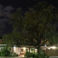 Pietersburg Club