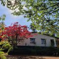 Pine Tree Lodge