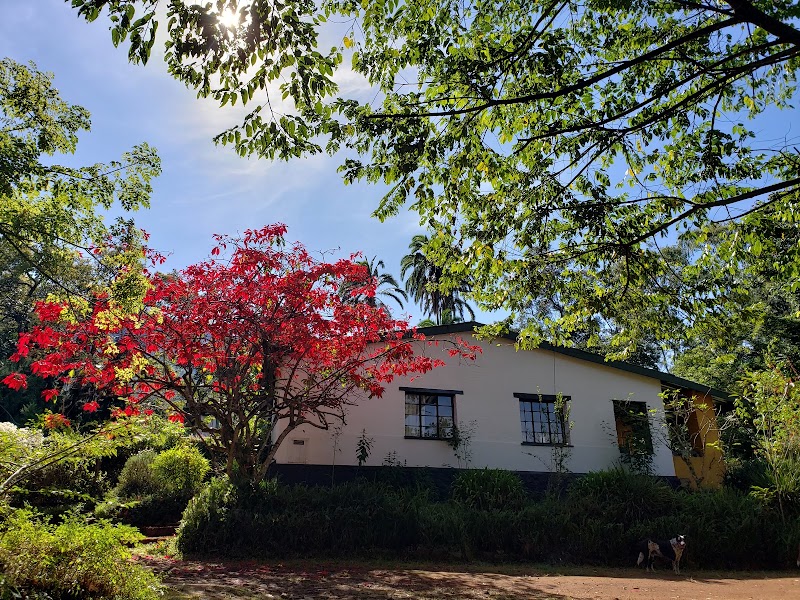 Pine Tree Lodge in Zomba, Malawi