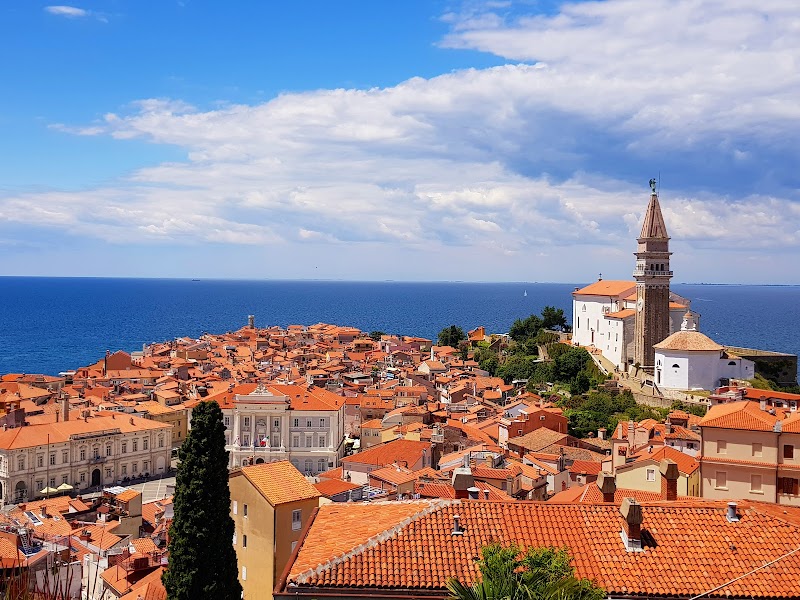 Piranika in Piran, Slovenia