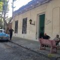 Posada del Río