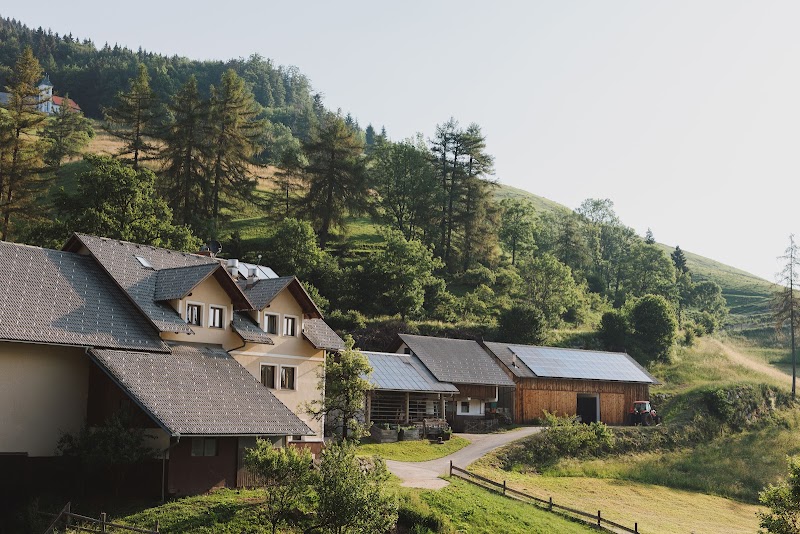 Pr'Dovar Guest House in Cerklje na Gorenjskem, Slovenia