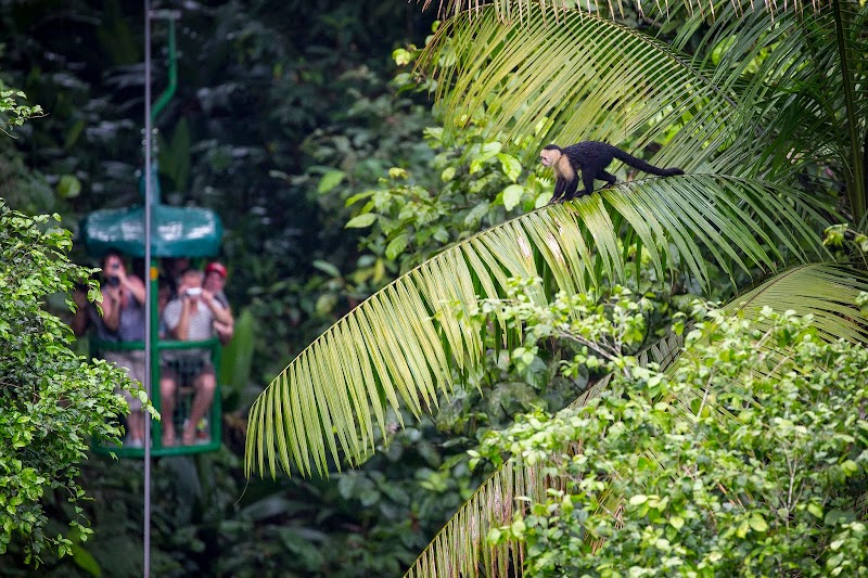 Rainforest Adventure Lodge in Guapiles, Costa Rica