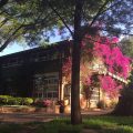 Rainforest Boutique Camp