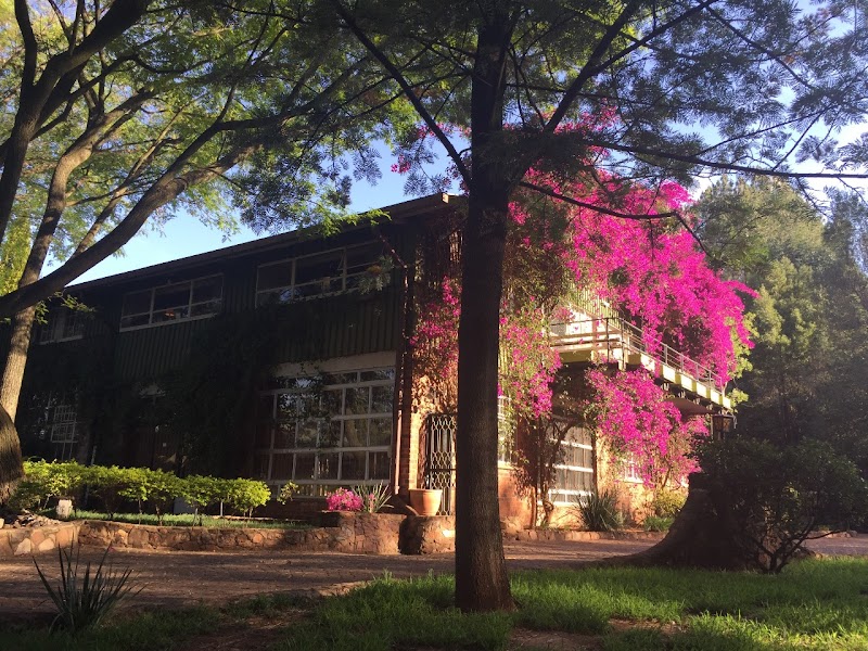Rainforest Boutique Camp in Krugersdorp, South Africa
