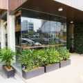 Raintree Boutique Hotel