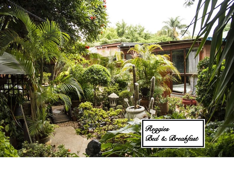 Reggies Bed & Breakfast in Polokwane, South Africa