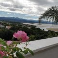Room with a View
