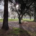 Sarnia Park