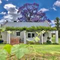 Saronsberg Vineyard Cottages
