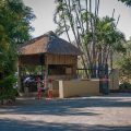 Sefapane Lodge