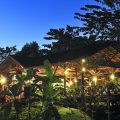 Sepilok Forest Edge Resort