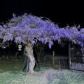 Shumba Valley Guest Farm