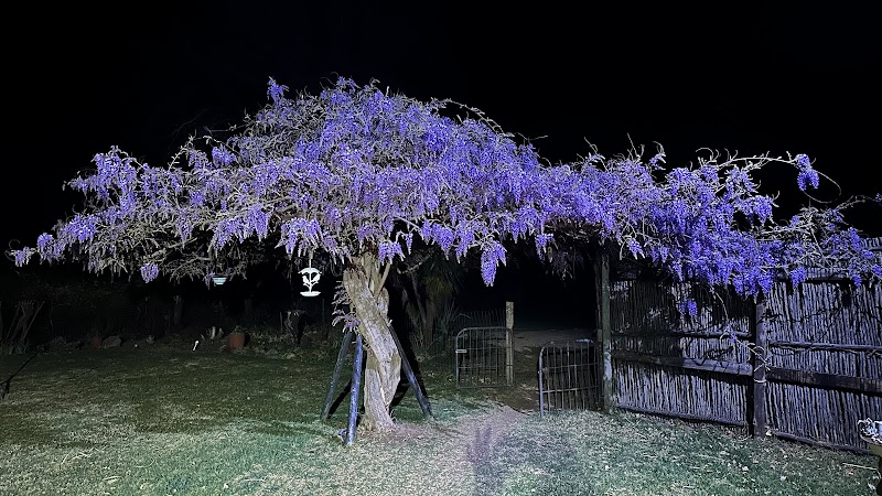 Shumba Valley Guest Farm in Fouriesburg, South Africa