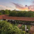 Sigiriya Jungles