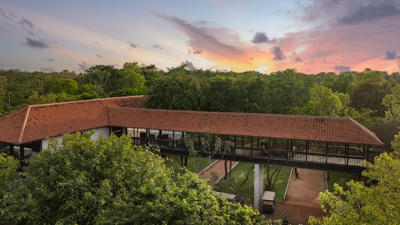 Sigiriya Jungles in Dambulla, Sri Lanka
