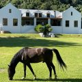 Somerset Gift Getaway Farm