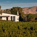 St Leonards Vineyard Cottages