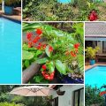 Summer Sand Holiday Cottages