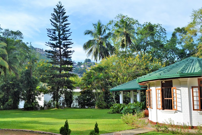 Sweet Cinnamon Kandy in Kandy, Sri Lanka
