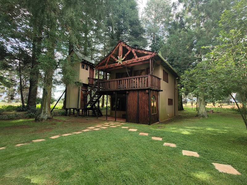Sycamore Avenue Treehouses in Mooirivier, South Africa