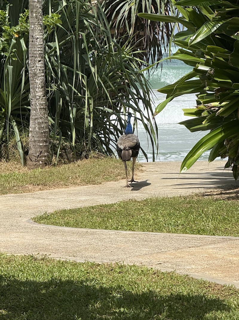 The Cove Lanka in Dikwella South, Sri Lanka