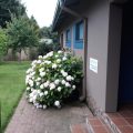 The Crown Guest House