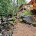 The Forest Retreat