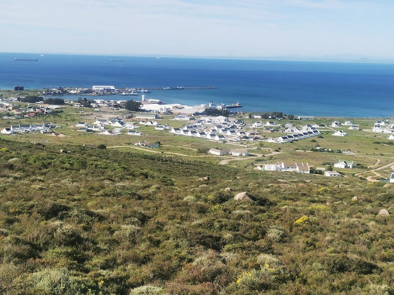 The Lazy Daisies in Saint Helena Bay, South Africa
