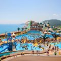 The Ocean Resort