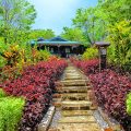 The Orchard Wellness & Health Resort