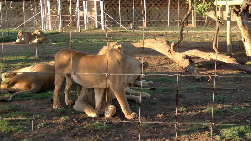 The Ranch Resort in Polokwane, South Africa