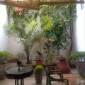 The Reed Boutique Hotel