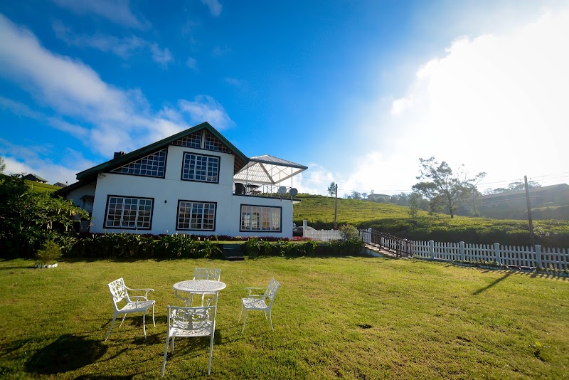 The Tea Garden in Nuwara Eliya, Sri Lanka