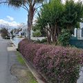 The Tulbagh