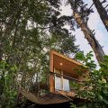 Theodosius Forest Village – Glamping Resort
