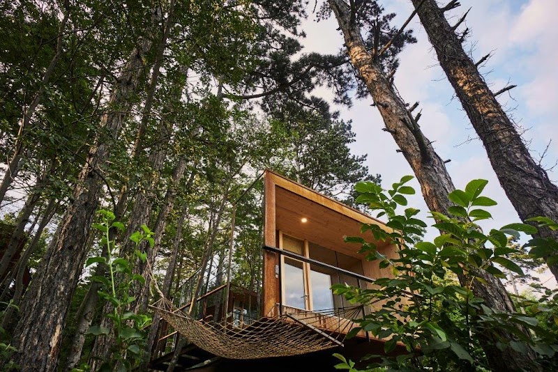 Theodosius Forest Village - Glamping Resort in Vipava, Slovenia