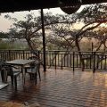 Thorn Tree Lodge