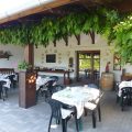 Tisza Lodge