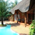 Trees Too Guest Lodge